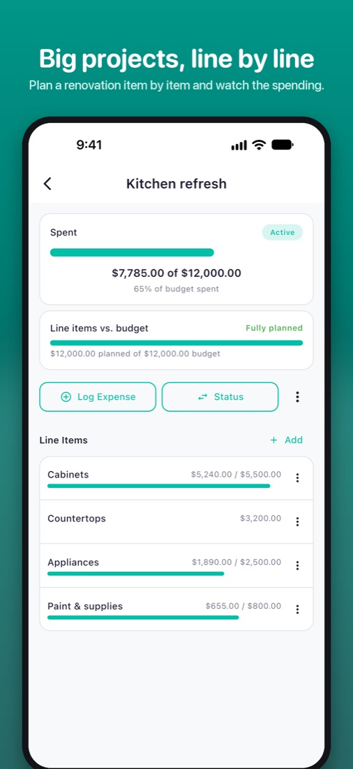 Project budgets